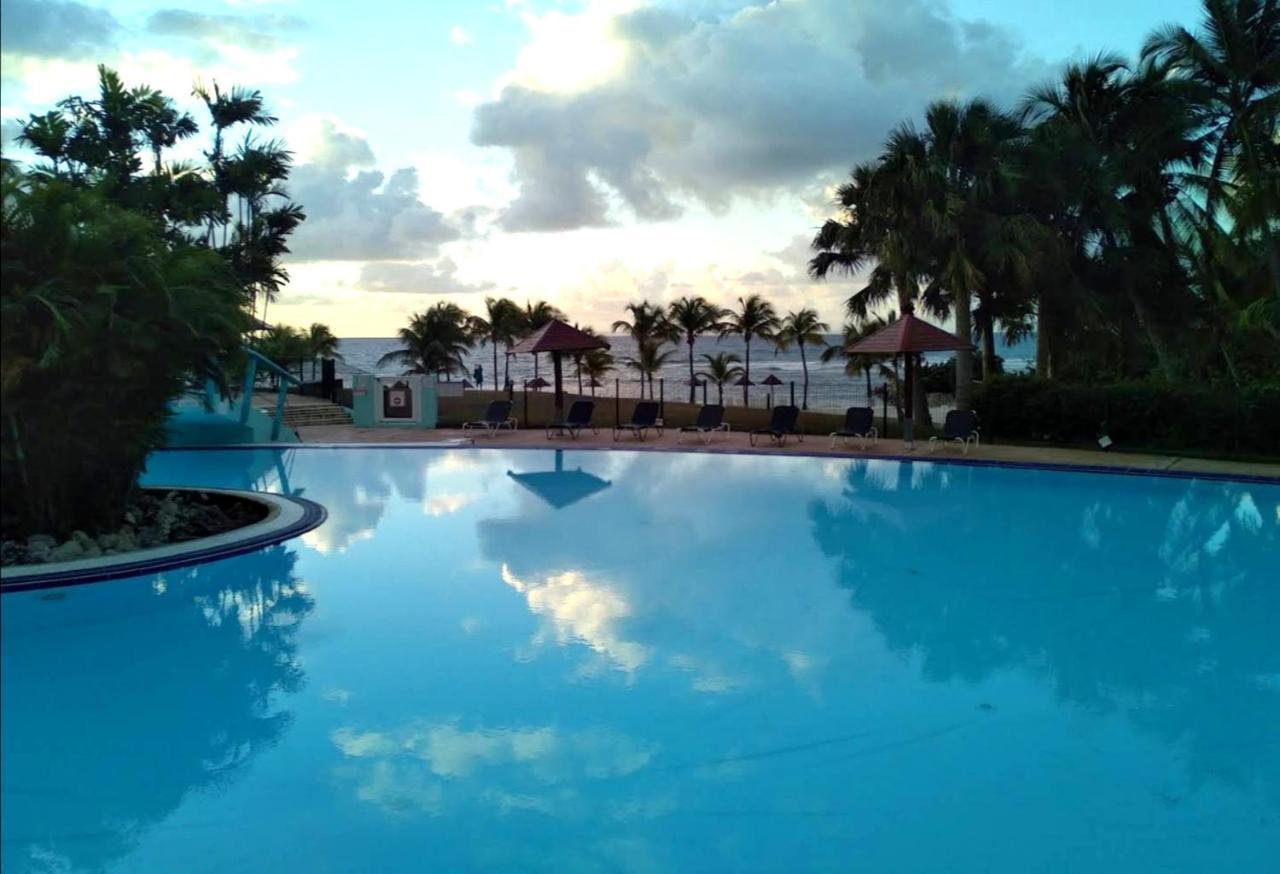 La Perle Des Caraibes Διαμέρισμα Sainte-Anne  Εξωτερικό φωτογραφία